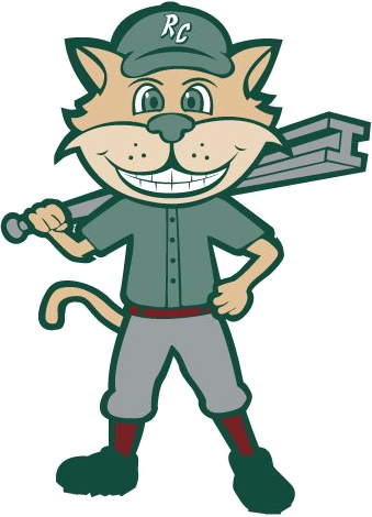 Gary SouthShore RailCats 2011-Pres Mascot Logo iron on transfers for clothing
